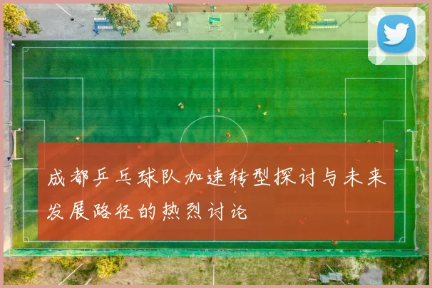 成都乒乓球队加速转型探讨与未来发展路径的热烈讨论