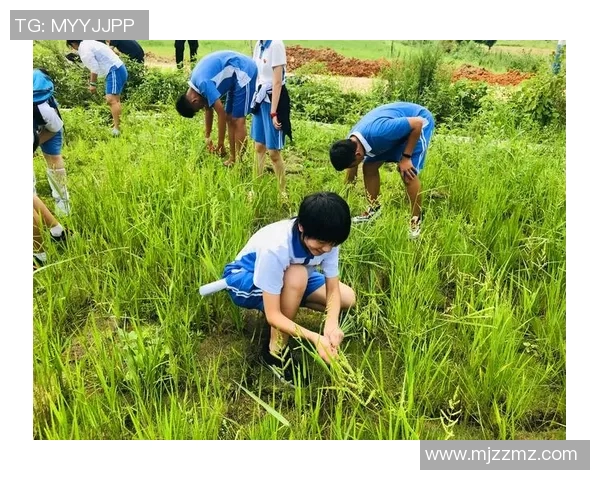 深度对话:吴强如何在排球世界中追寻梦想与成长